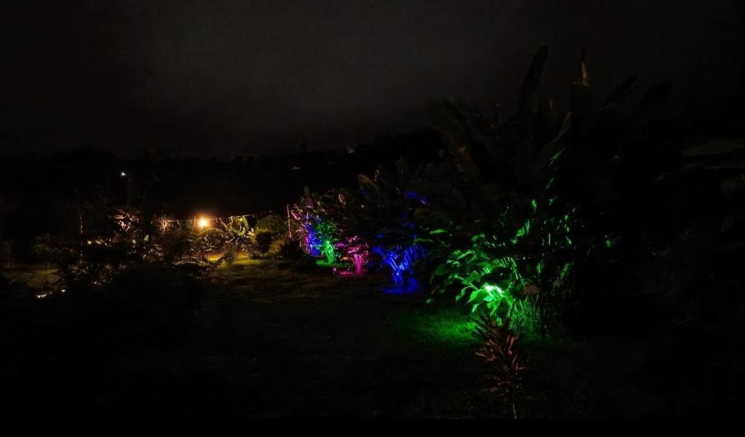 Flora Glamping De Abuela Villa La Fortuna Exterior photo